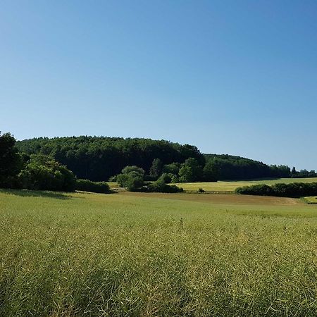 Ferienhaus Forstblick Betzenstein Kültér fotó