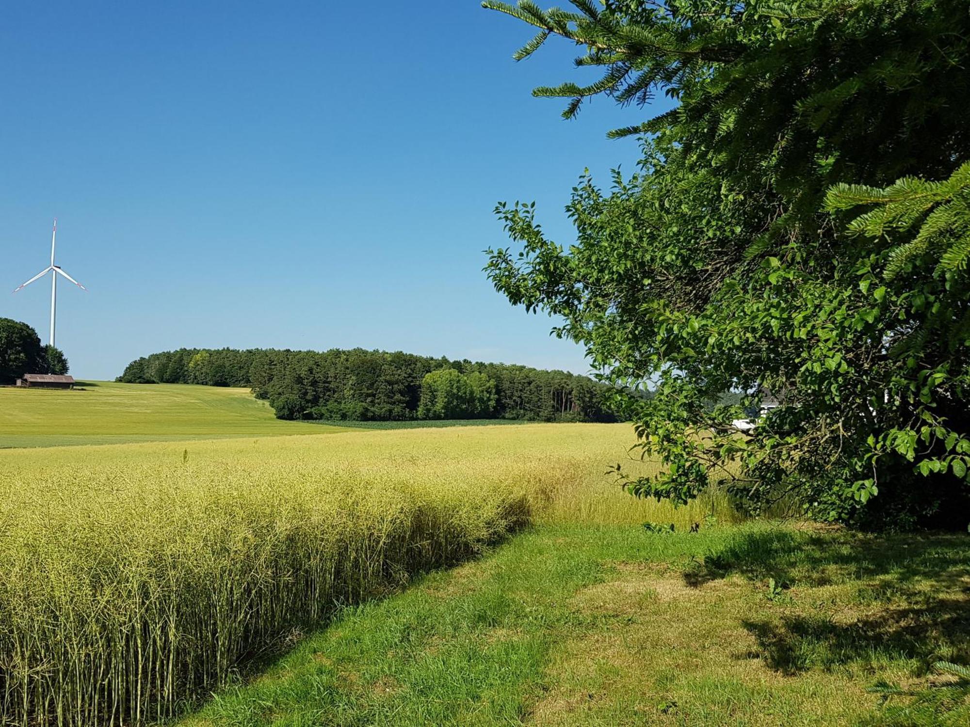 Ferienhaus Forstblick Betzenstein Kültér fotó