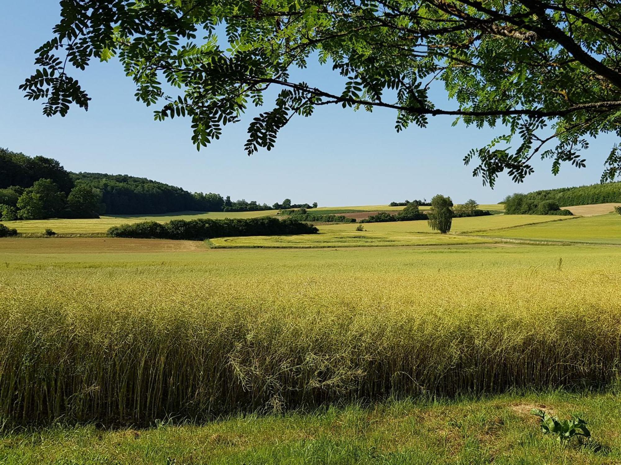 Ferienhaus Forstblick Betzenstein Kültér fotó