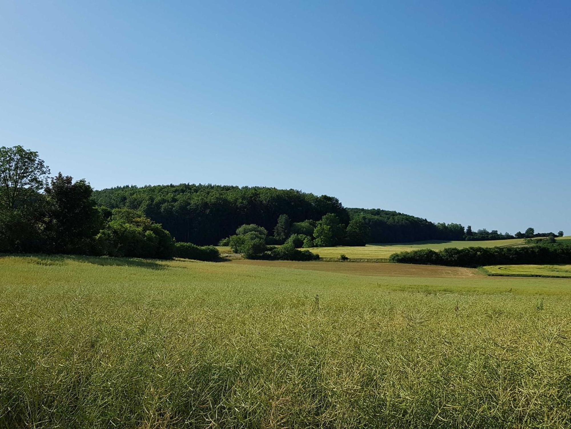 Ferienhaus Forstblick Betzenstein Kültér fotó