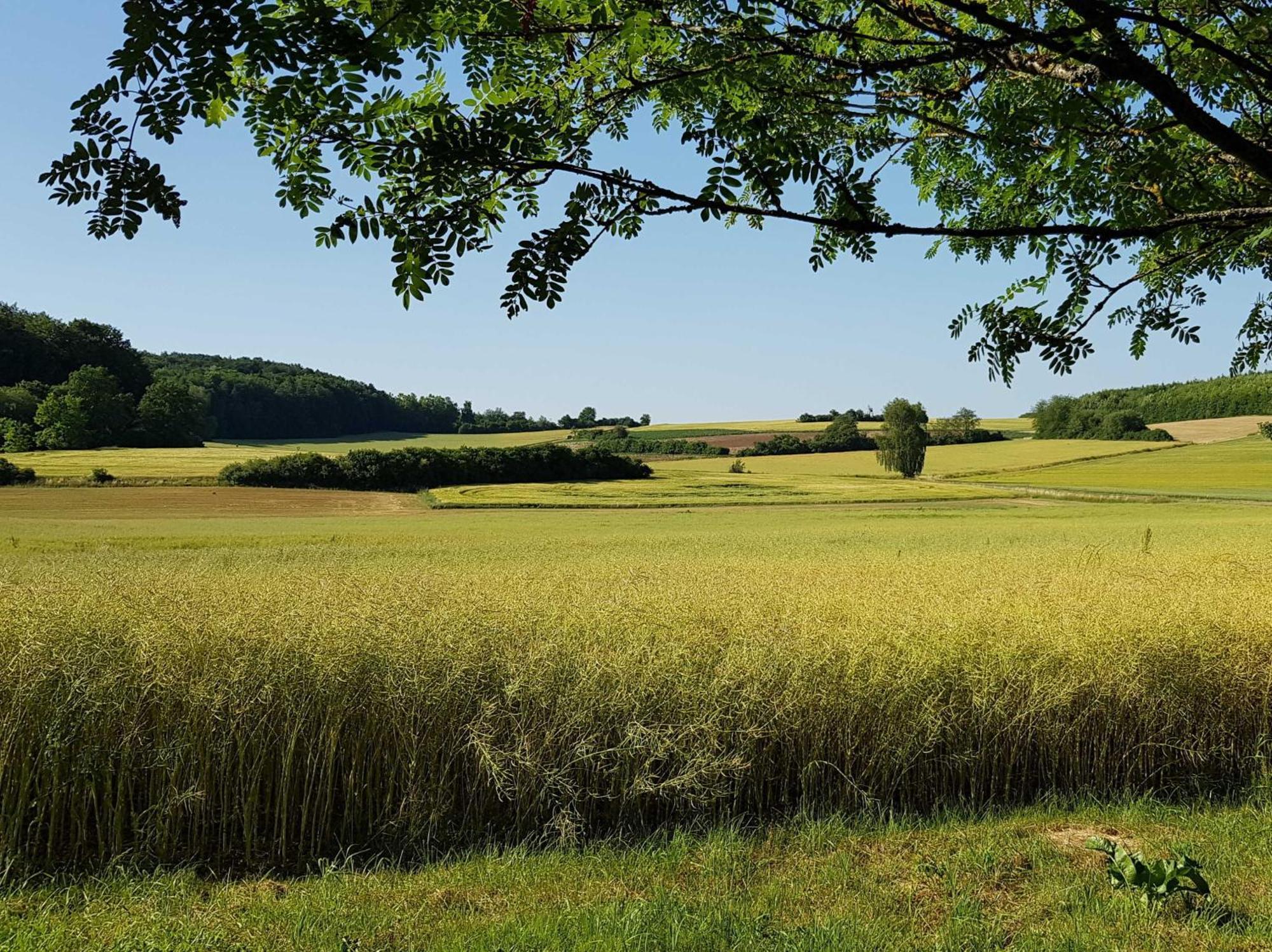 Ferienhaus Forstblick Betzenstein Kültér fotó